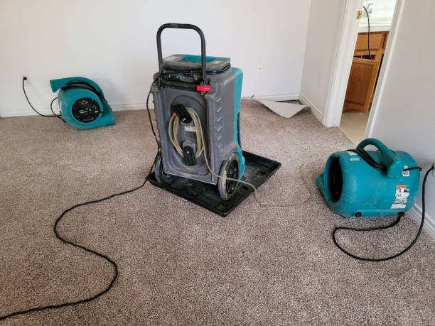 Best Basement water damage restoration  in Beulah, ND