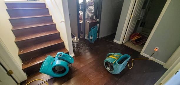 Best Basement water damage restoration  in Beulah, ND