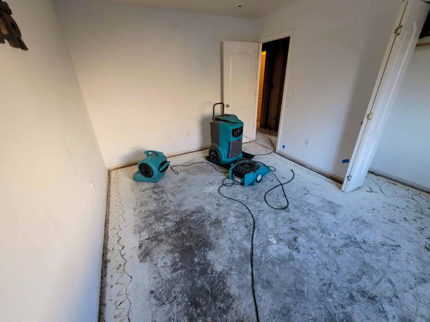 Best 24/7 water damage repair  in Beulah, ND