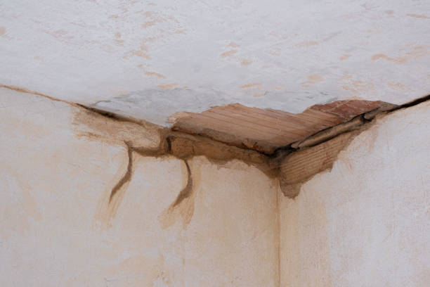 Trusted Beulah, ND Water damage restoration Experts
