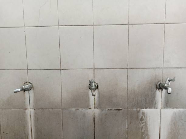Best Local water damage restoration  in Beulah, ND