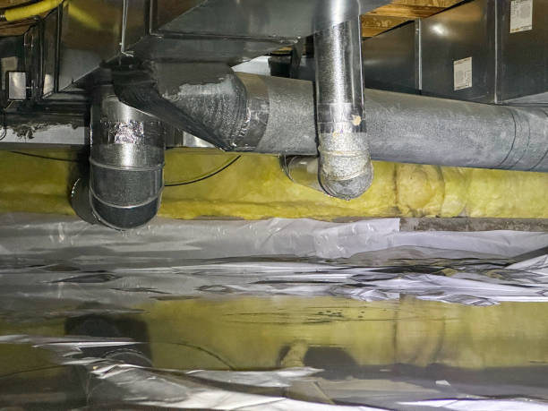Best Flood damage cleanup  in Beulah, ND