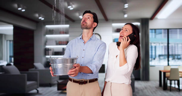 Best Water damage restoration company  in Beulah, ND